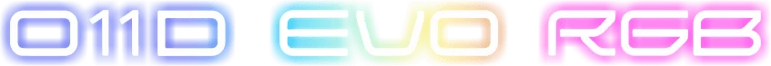O11D EVO RBG 00