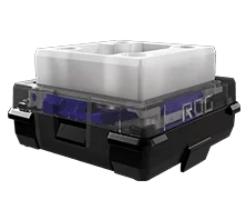 ROG RX switch blue