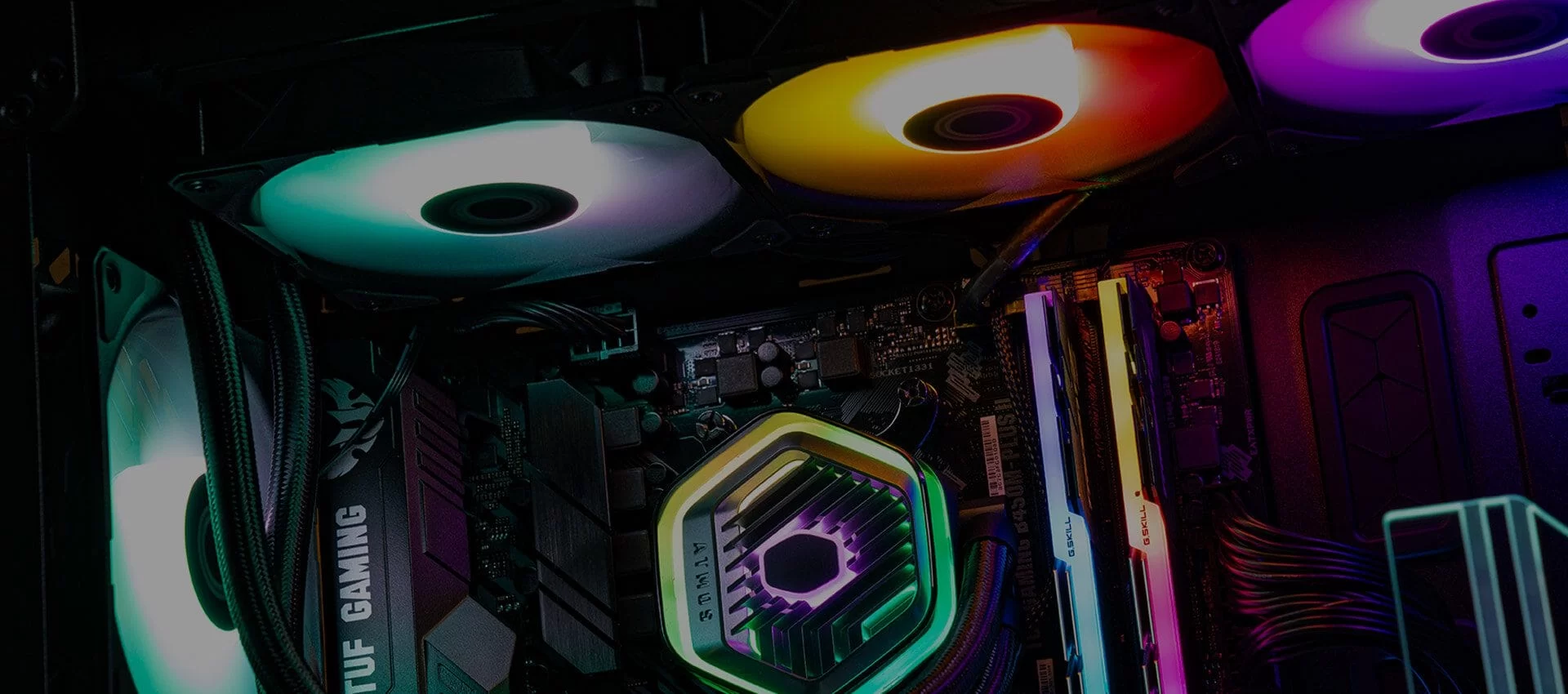 cpu socket comptibility and rgb lighting list