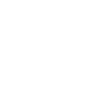 icon caution