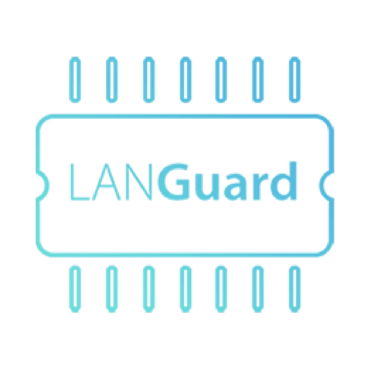 icon languard