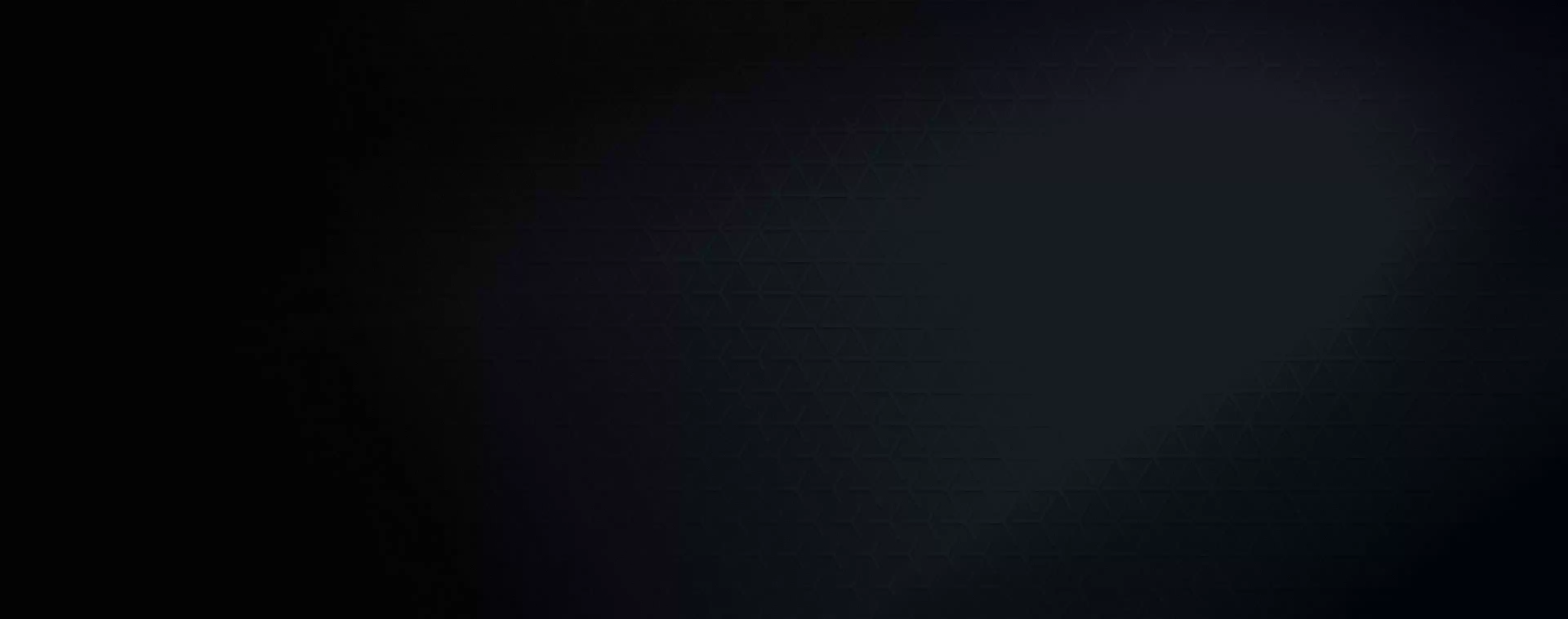 RS120 MAX panel02 background