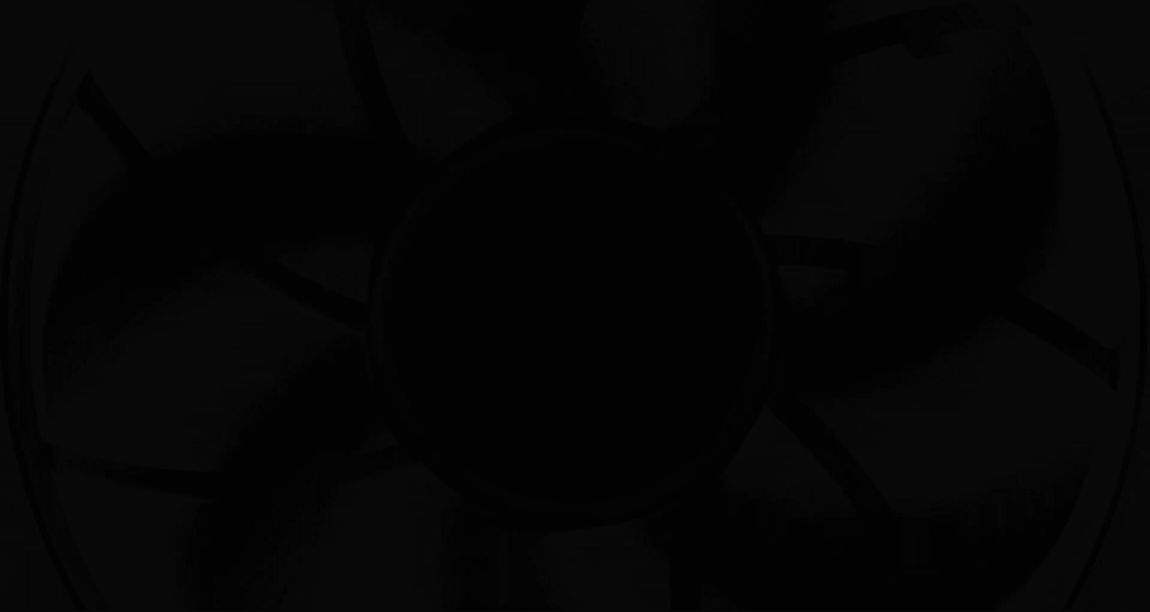 RS120 MAX panel3 background