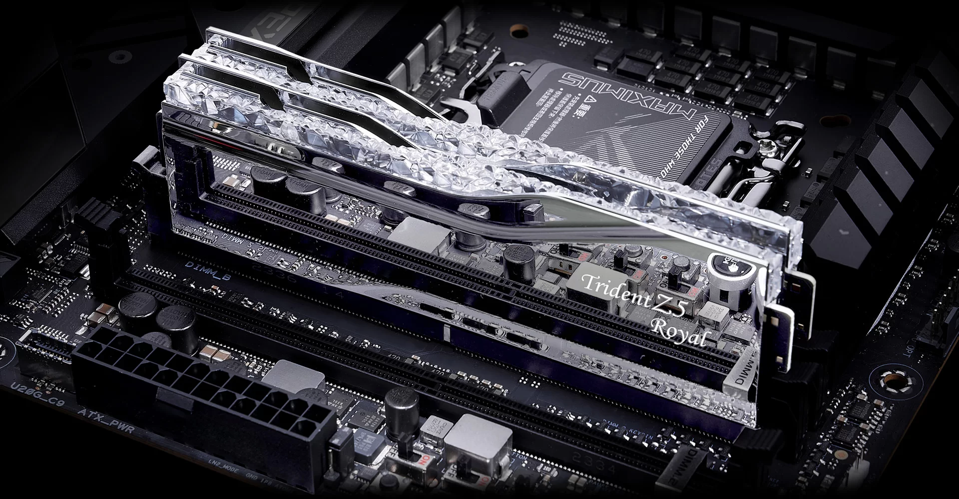 03 trident z5 royal luxury performance