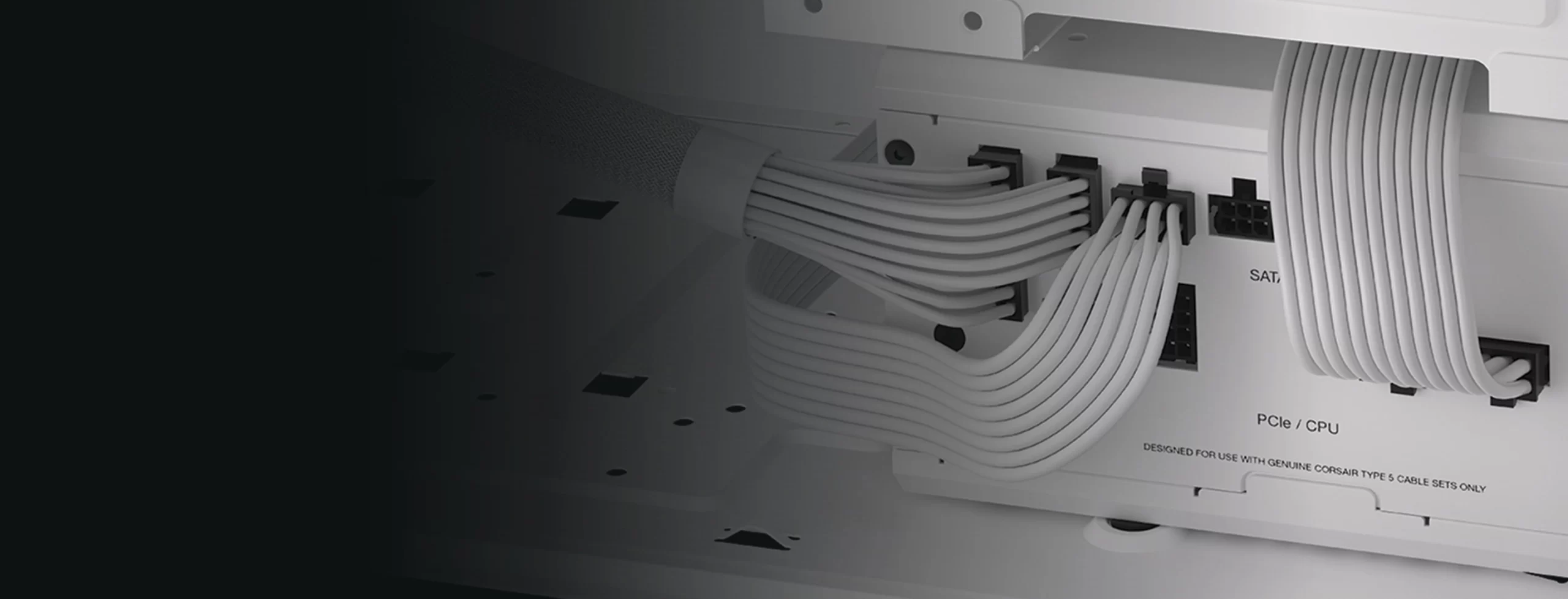 Panel02 Background scaled