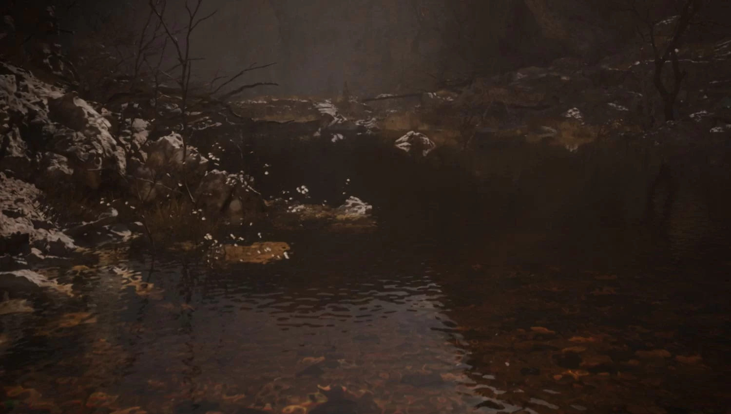 nv bg2