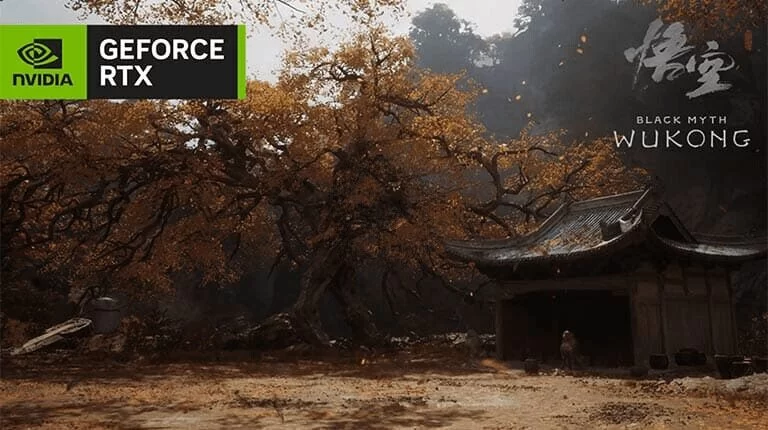 nv video