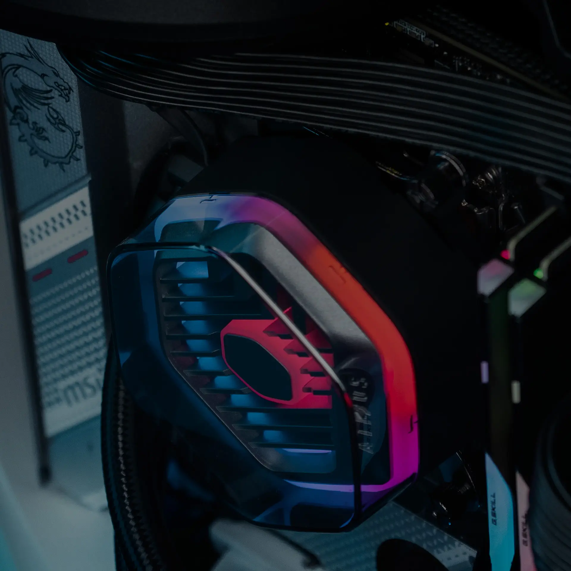 sharkx bento s2 r01 1