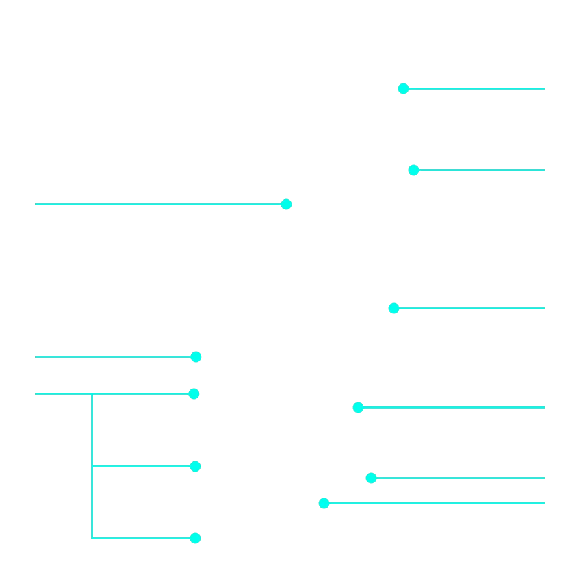 item1 line