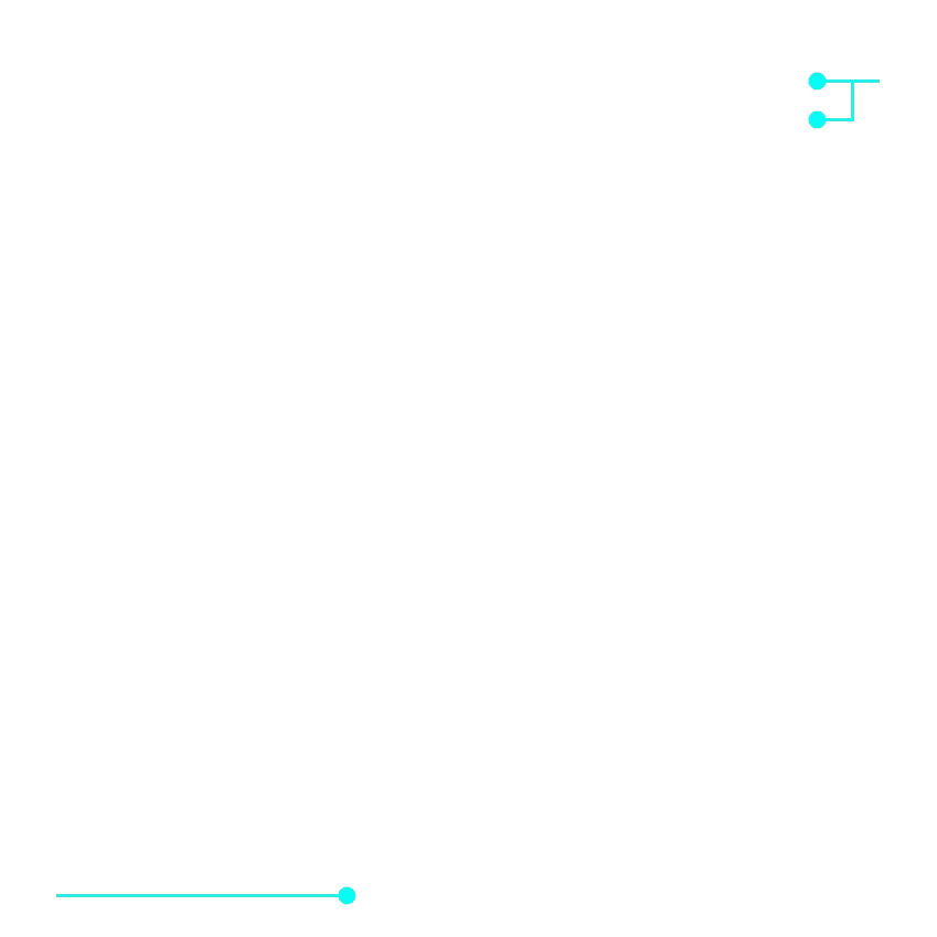 item4 line
