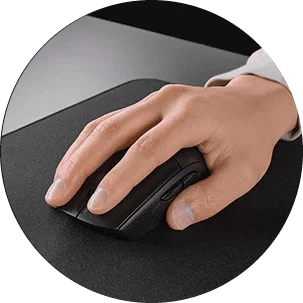 M55 wl palm
