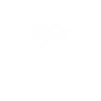 SL Wireless ic 003