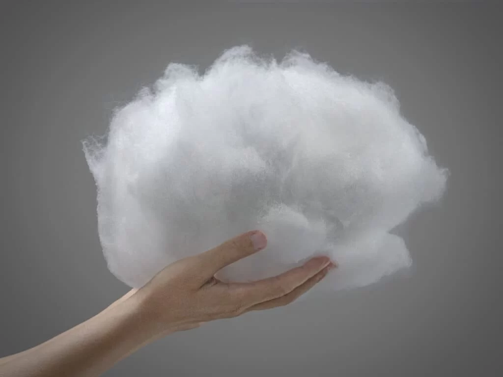 FIDOM polyester fiber1 1024x768 1