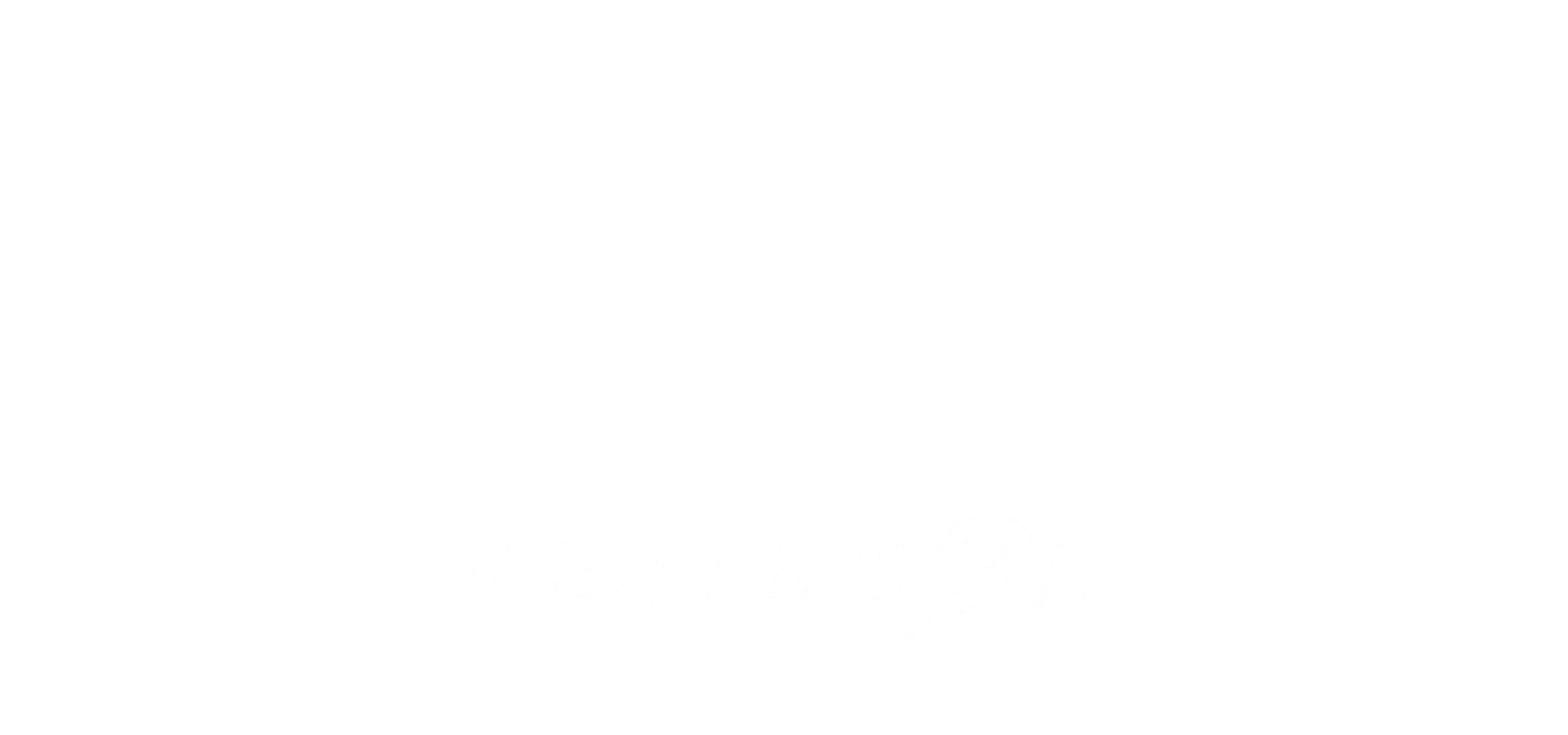 msi ventus 2x text logo