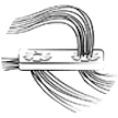 specico 6