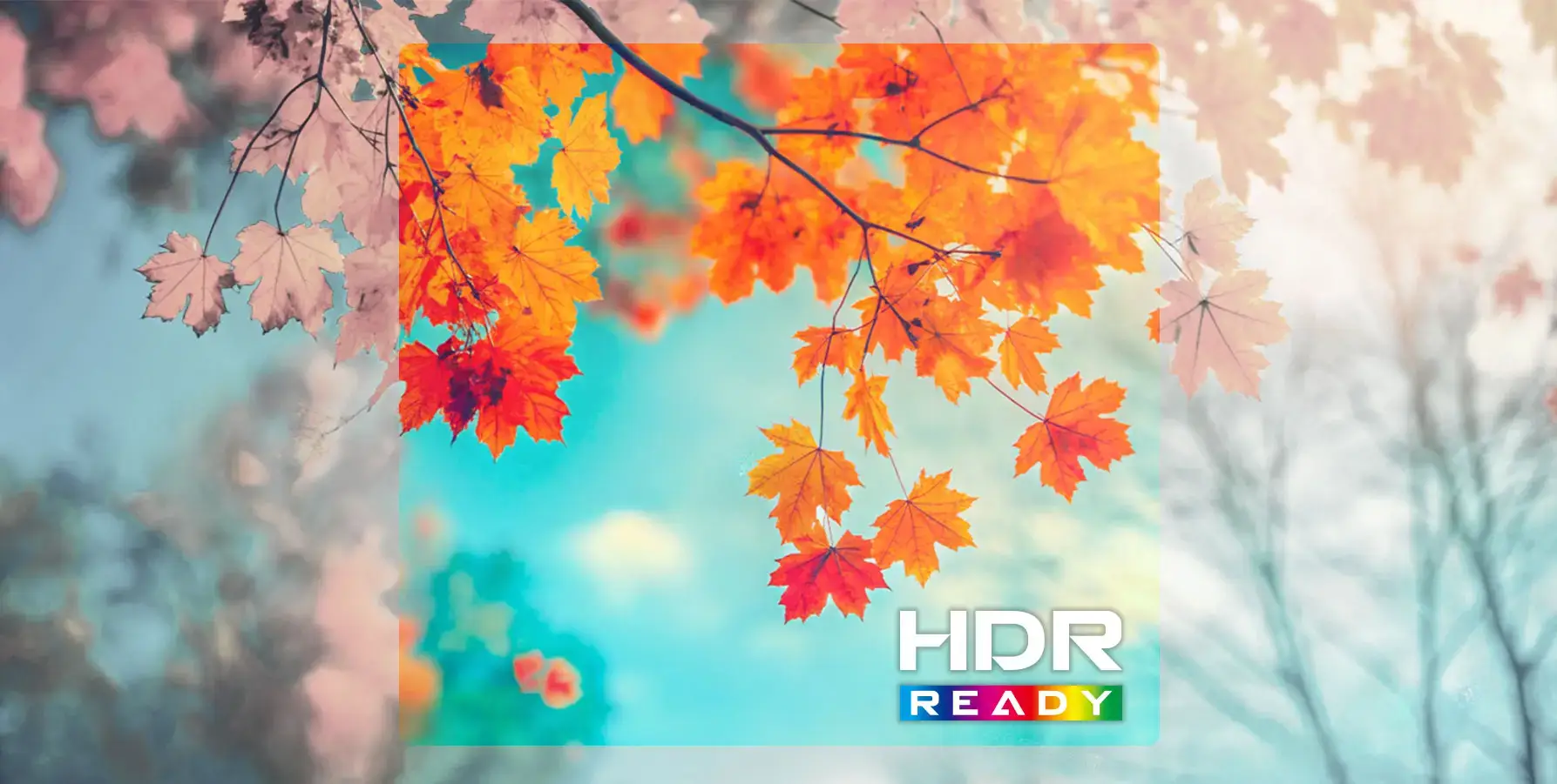 HDR Ready