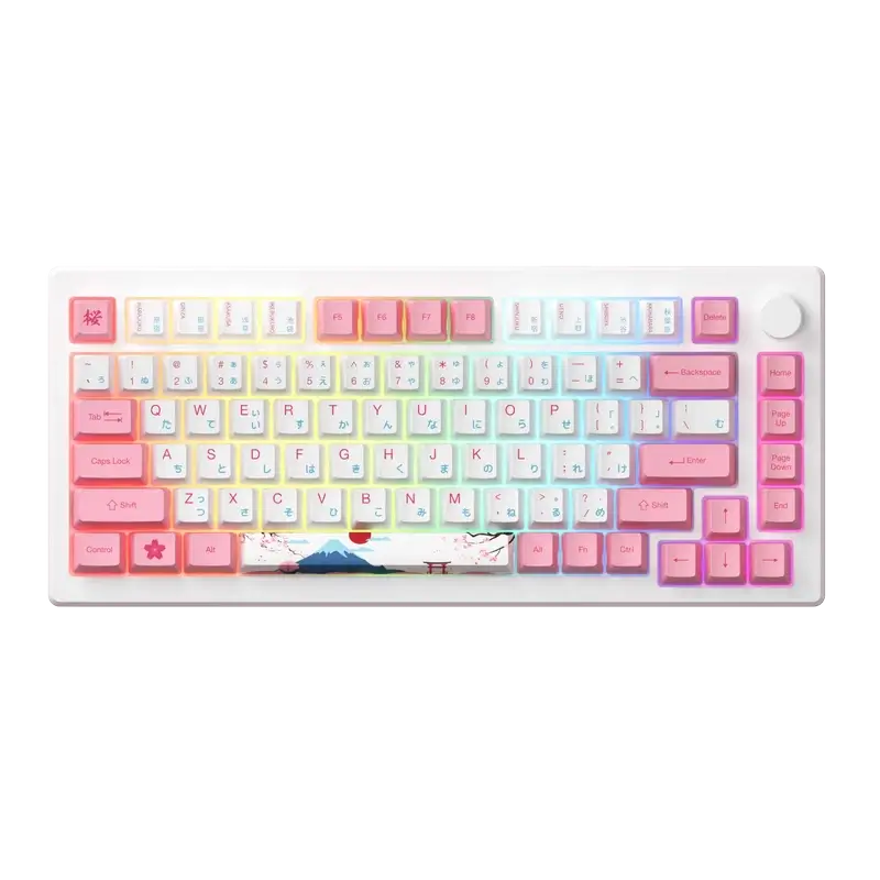 AKKO MOD007B-HE PC Tokyo Sakura Pink Magnetic Switch Keyboard - Hotswap, RGB, USB Type C - Rapid Trigger 2 AKKO MOD007B-HE PC Tokyo Sakura Pink Magnetic Switch Keyboard - Hotswap, RGB, USB Type C - Rapid Trigger - Ảnh 2