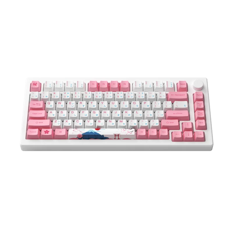 AKKO MOD007B-HE PC Tokyo Sakura Pink Magnetic Switch Keyboard - Hotswap, RGB, USB Type C - Rapid Trigger 3 AKKO MOD007B-HE PC Tokyo Sakura Pink Magnetic Switch Keyboard - Hotswap, RGB, USB Type C - Rapid Trigger - Ảnh 3