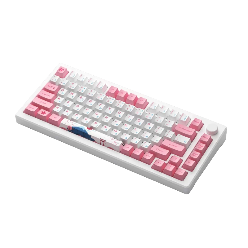 AKKO MOD007B-HE PC Tokyo Sakura Pink Magnetic Switch Keyboard - Hotswap, RGB, USB Type C - Rapid Trigger 5 AKKO MOD007B-HE PC Tokyo Sakura Pink Magnetic Switch Keyboard - Hotswap, RGB, USB Type C - Rapid Trigger - Ảnh 5