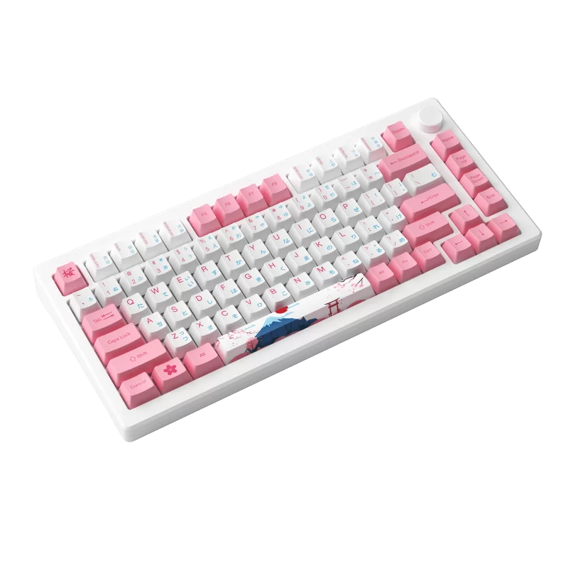AKKO MOD007B-HE PC Tokyo Sakura Pink Magnetic Switch Keyboard - Hotswap, RGB, USB Type C - Rapid Trigger 6 AKKO MOD007B-HE PC Tokyo Sakura Pink Magnetic Switch Keyboard - Hotswap, RGB, USB Type C - Rapid Trigger - Ảnh 6