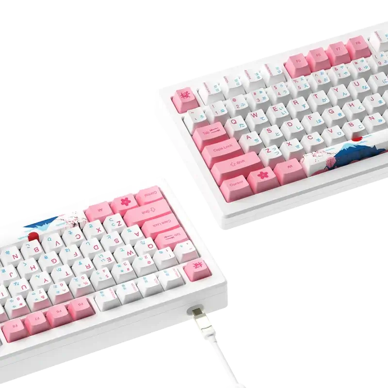 AKKO MOD007B-HE PC Tokyo Sakura Pink Magnetic Switch Keyboard - Hotswap, RGB, USB Type C - Rapid Trigger 4 AKKO MOD007B-HE PC Tokyo Sakura Pink Magnetic Switch Keyboard - Hotswap, RGB, USB Type C - Rapid Trigger - Ảnh 4