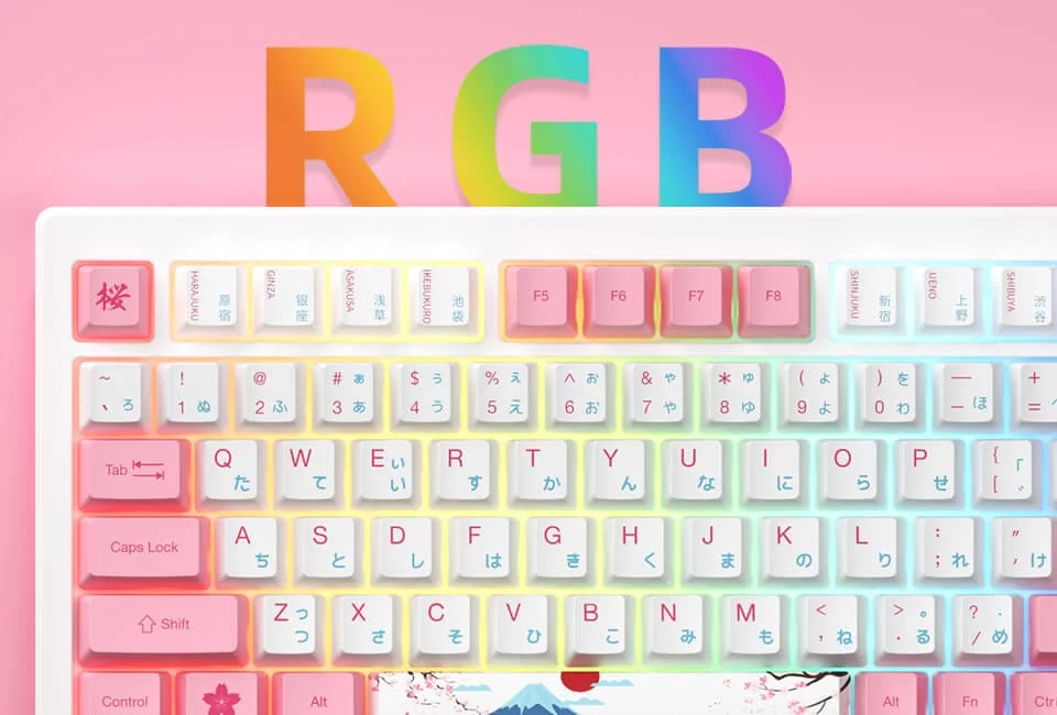 MOD007B PC DJ RGB