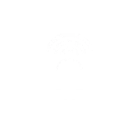 SL Wireless ic 003