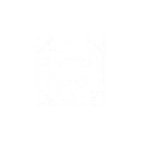 TL Wireless ic 001