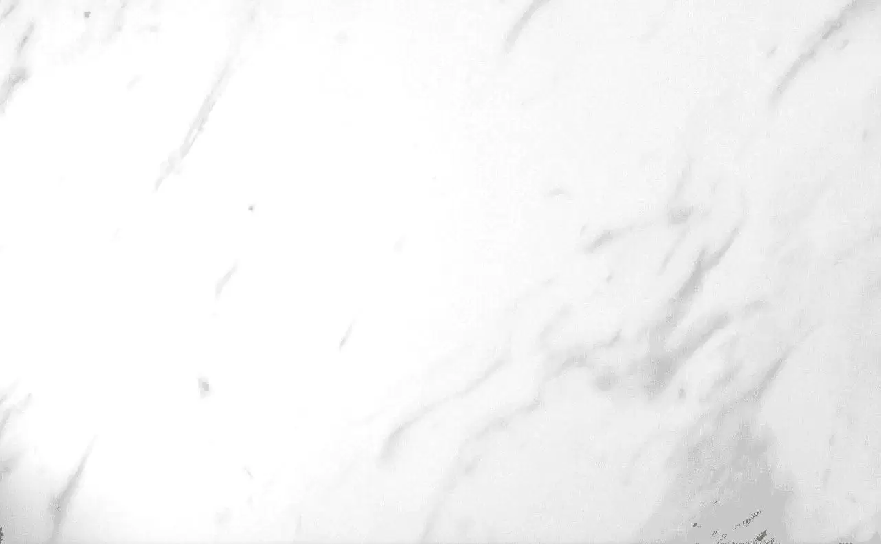 2 1bg