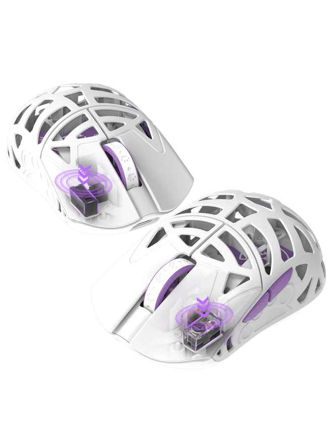 Miao Microswitch.13 1