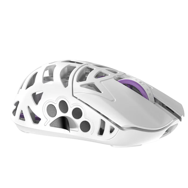 Miao Microswitch.8 1