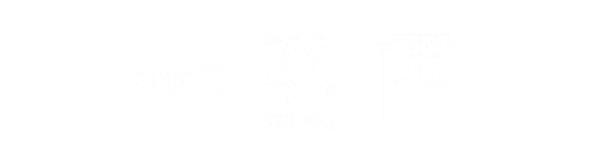 feature icon wifi