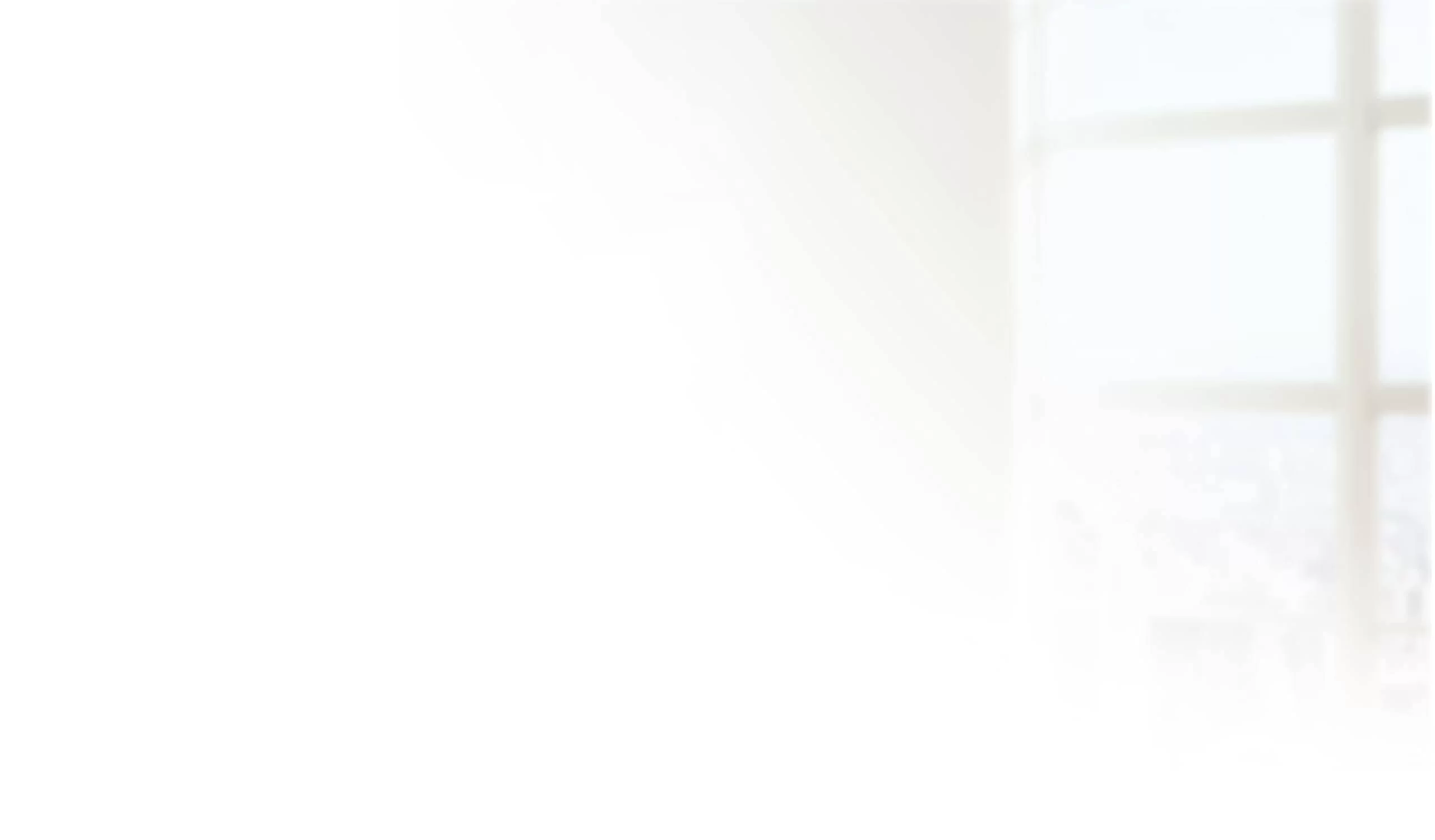software bg
