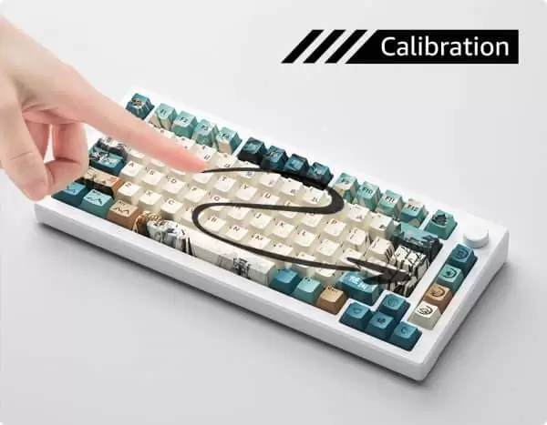 MOD 007B HE PC Joy of Life Calibration 600x467 1