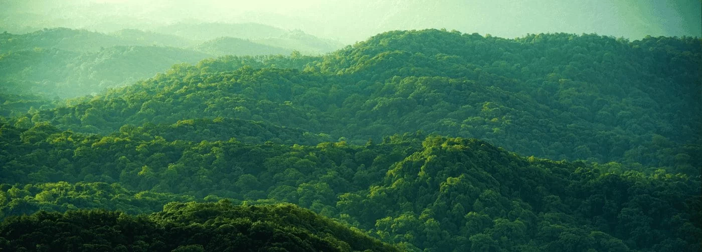 monitor fy26 se pdp mod sustainability