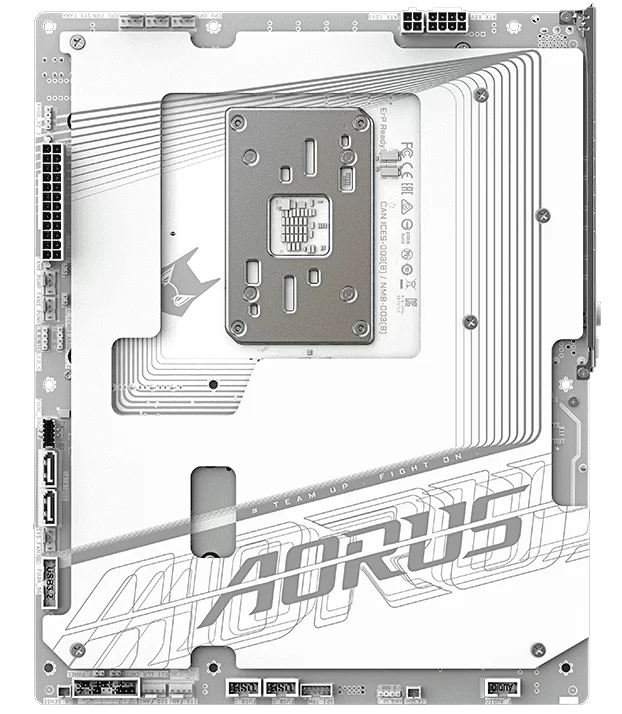 diagram back