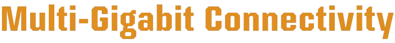 Multi Gigabit Connectivity