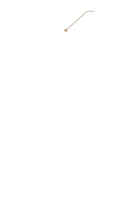 side line