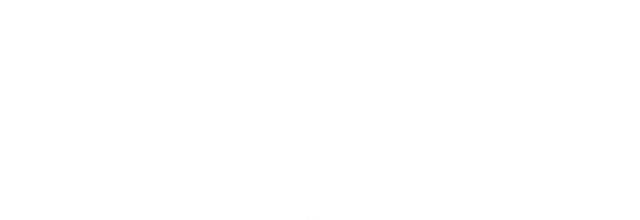pd 2 bg