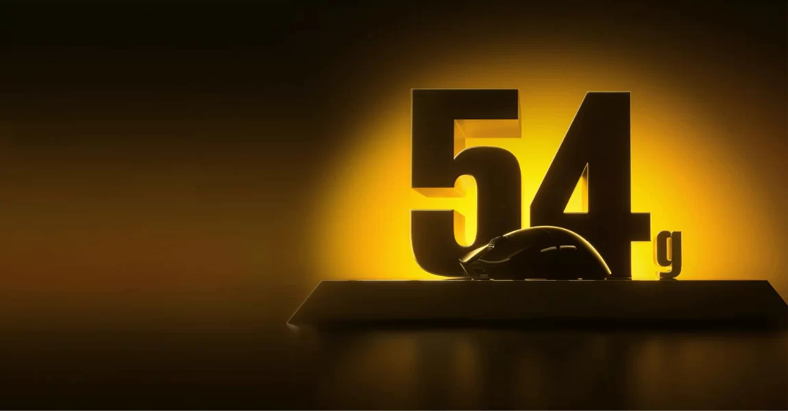 2 4