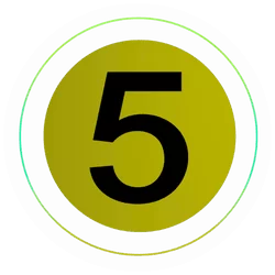 5 3