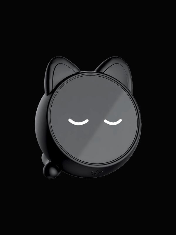 PAW 3950HS Sensor