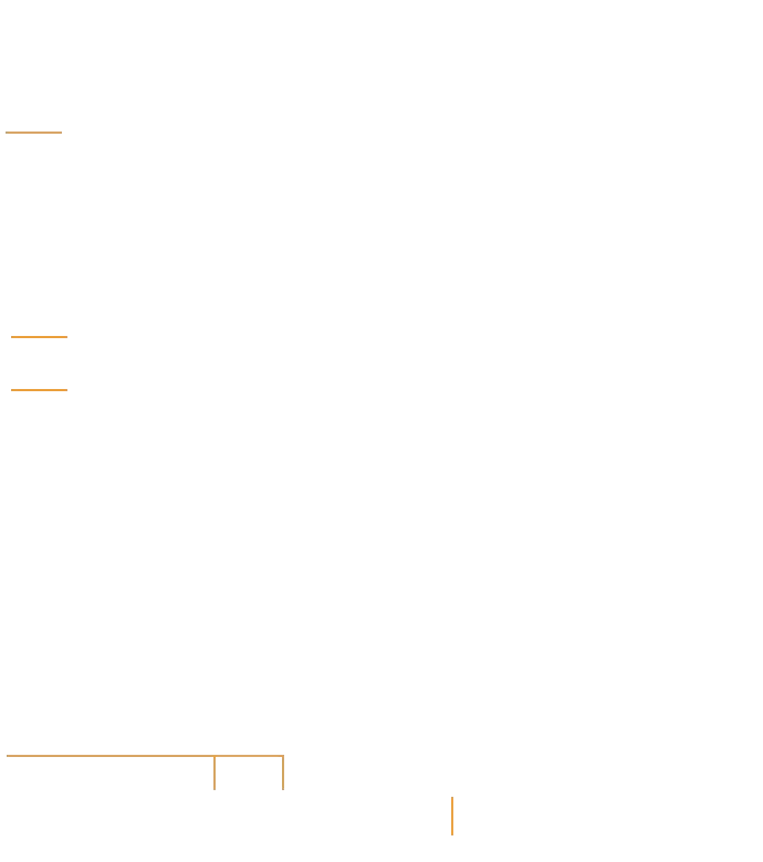 spec connectivity line