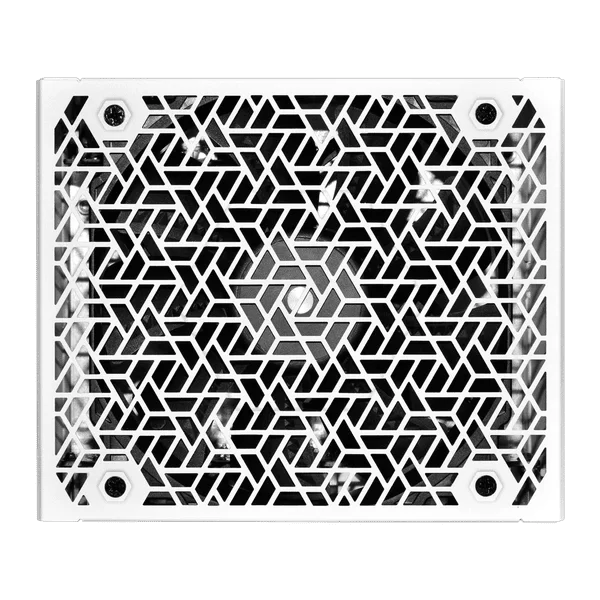 SuperFlower Leadex VIII Platinum Pro 1000W ATX 3.1 Cybenetics Platinum SF-1000F14SP(T) PSU 5 SuperFlower Leadex VIII Platinum Pro 1000W ATX 3.1 Cybenetics Platinum SF-1000F14SP(T) PSU - Ảnh 5