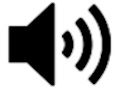 Built In Speaker ICON