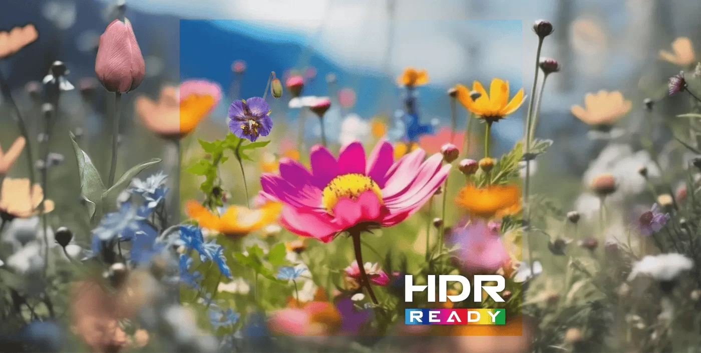 HDR ready