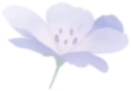 kv flower02