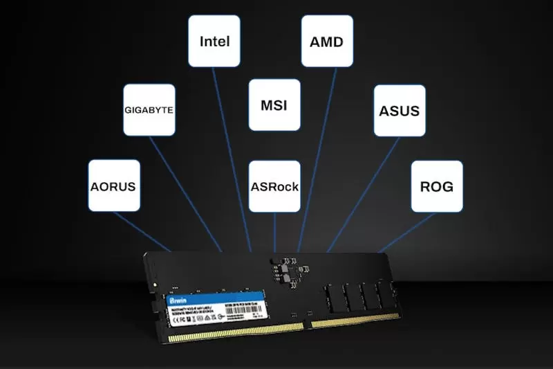 Tương thích Intel và AMD AM5