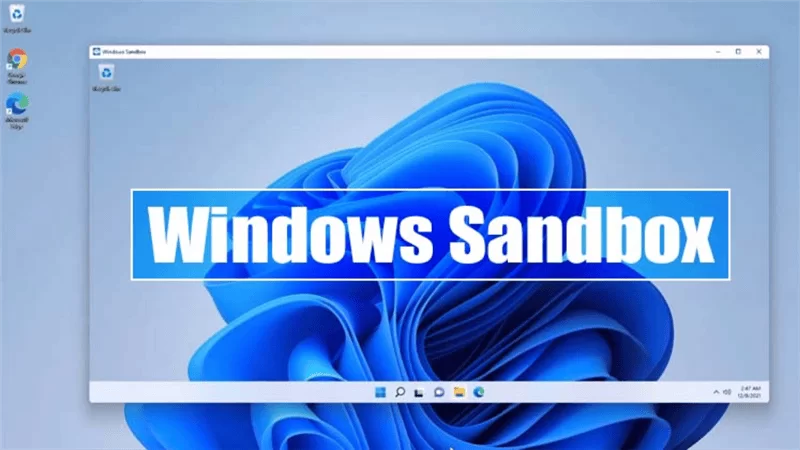 Microsoft Windows 11 Pro 64Bit Engl Intl 1pk DSP OEI (FQC-10528) 16 Hỗ trợ Hyper-V và Windows Sandbox trên Windows 11 Pro 64Bit